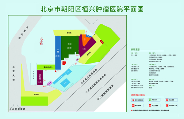 。大鸡巴干小嫩逼视频看看呗北京市朝阳区桓兴肿瘤医院平面图